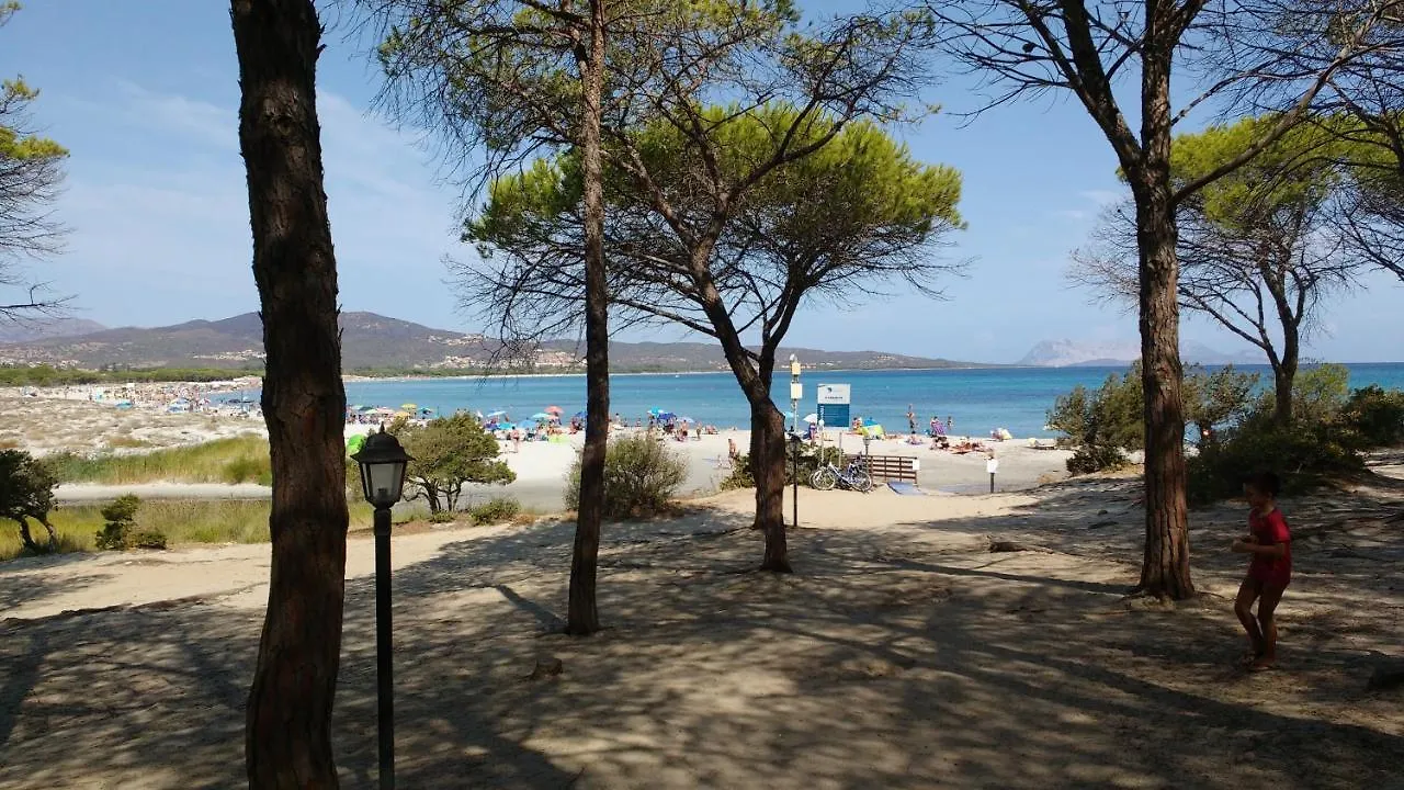 Apartment Appartamenti I Mandorli Budoni
